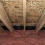 Remove Mold from Attic Plywood