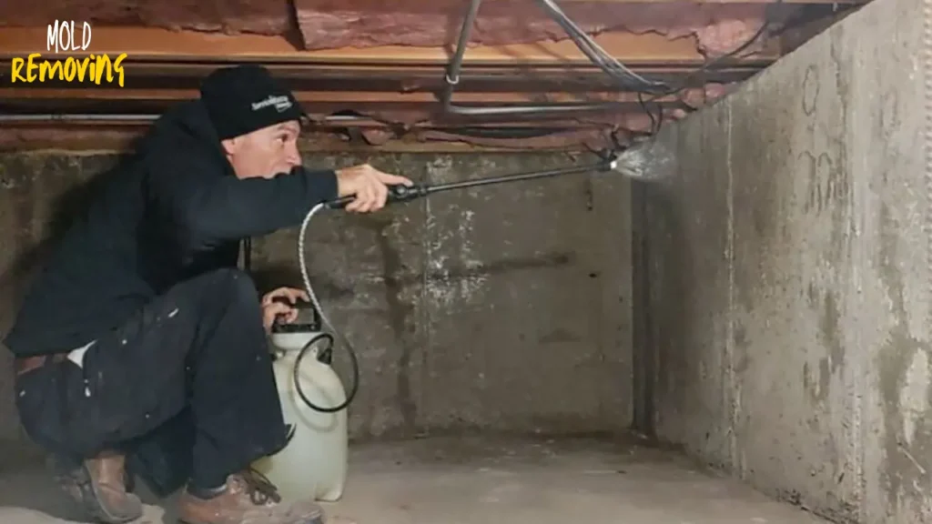 How to Remove Mold from Crawl space