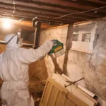 How to Remove Mold from Crawl space