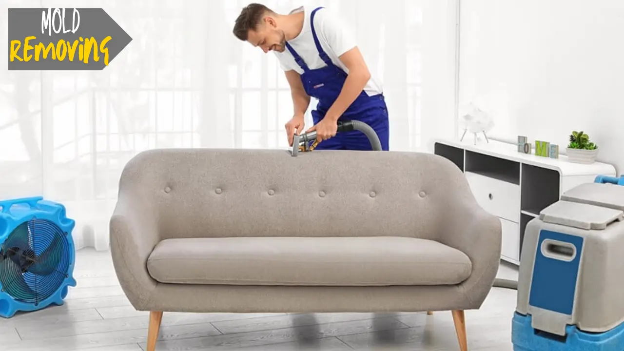 Remove Mold from Fabric Furniture without Bleach