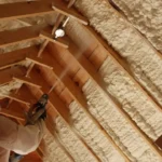 How to Remove Mold from attic