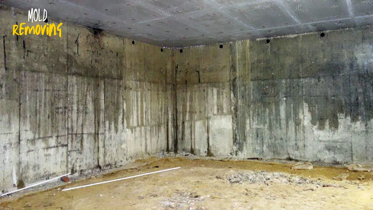 Remove Mold from Concrete Basement walls