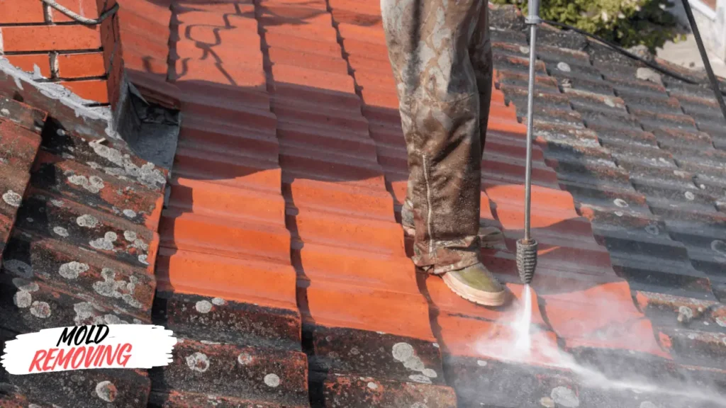 How to Remove mold from Roof shingles