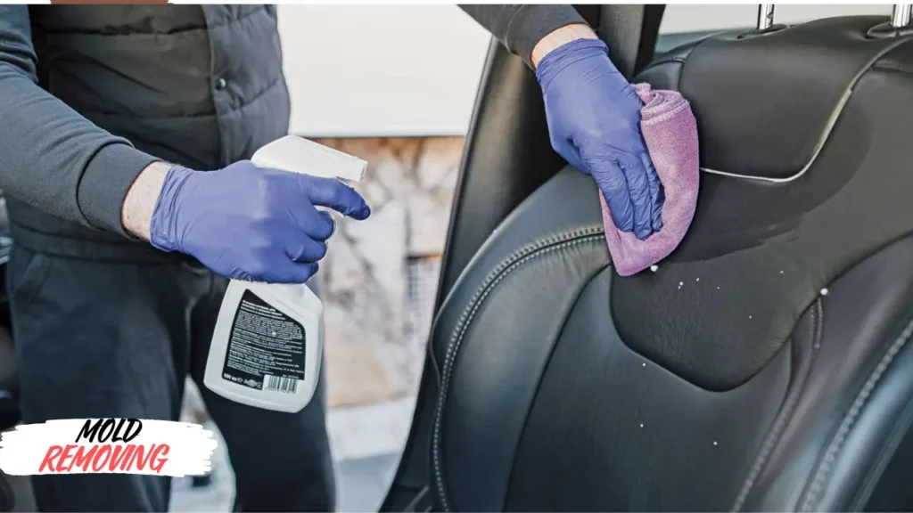 remove mold from car seats