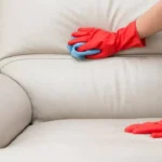 Remove Mold from leather couch