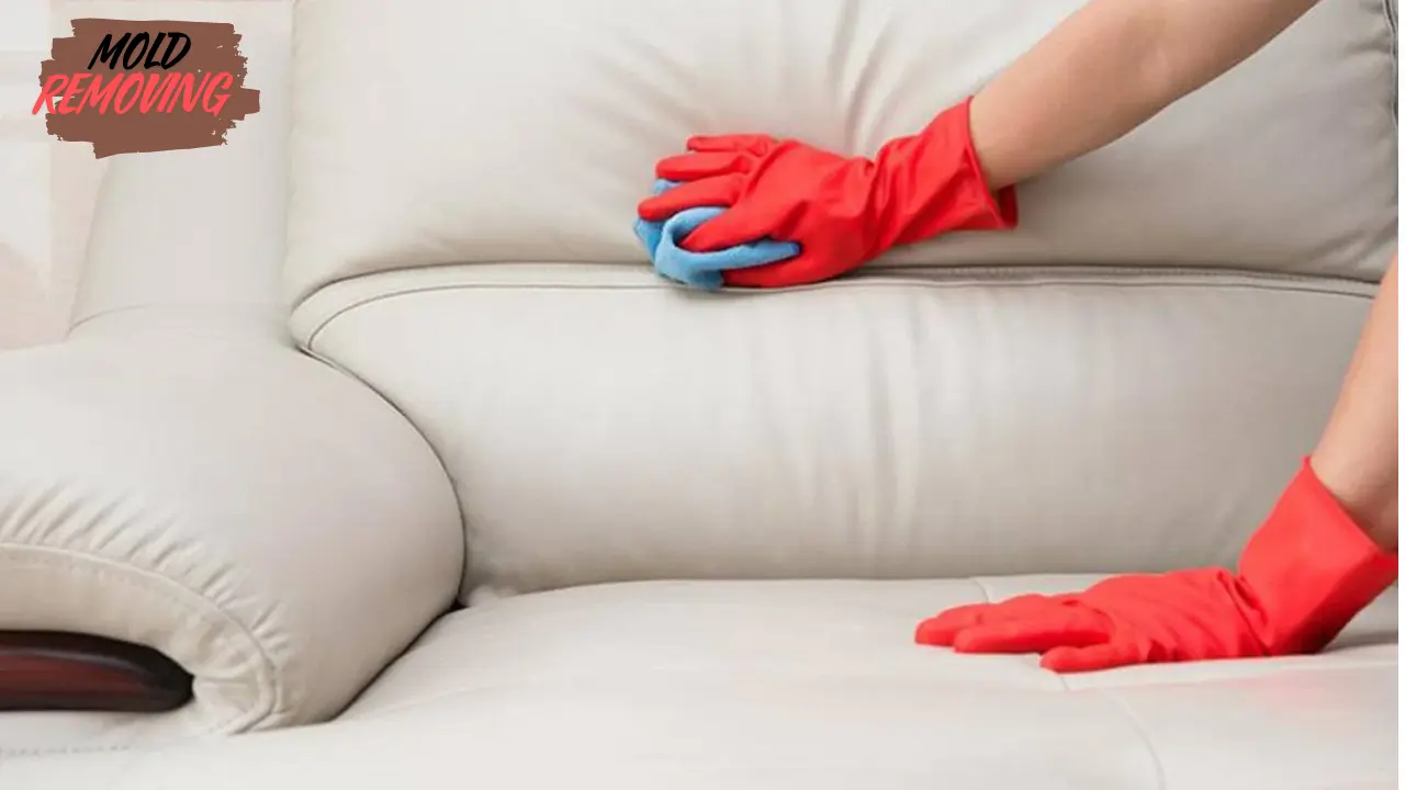 Remove Mold from leather couch