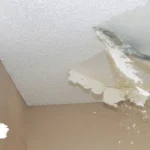 Remove Mold from Popcorn Ceiling