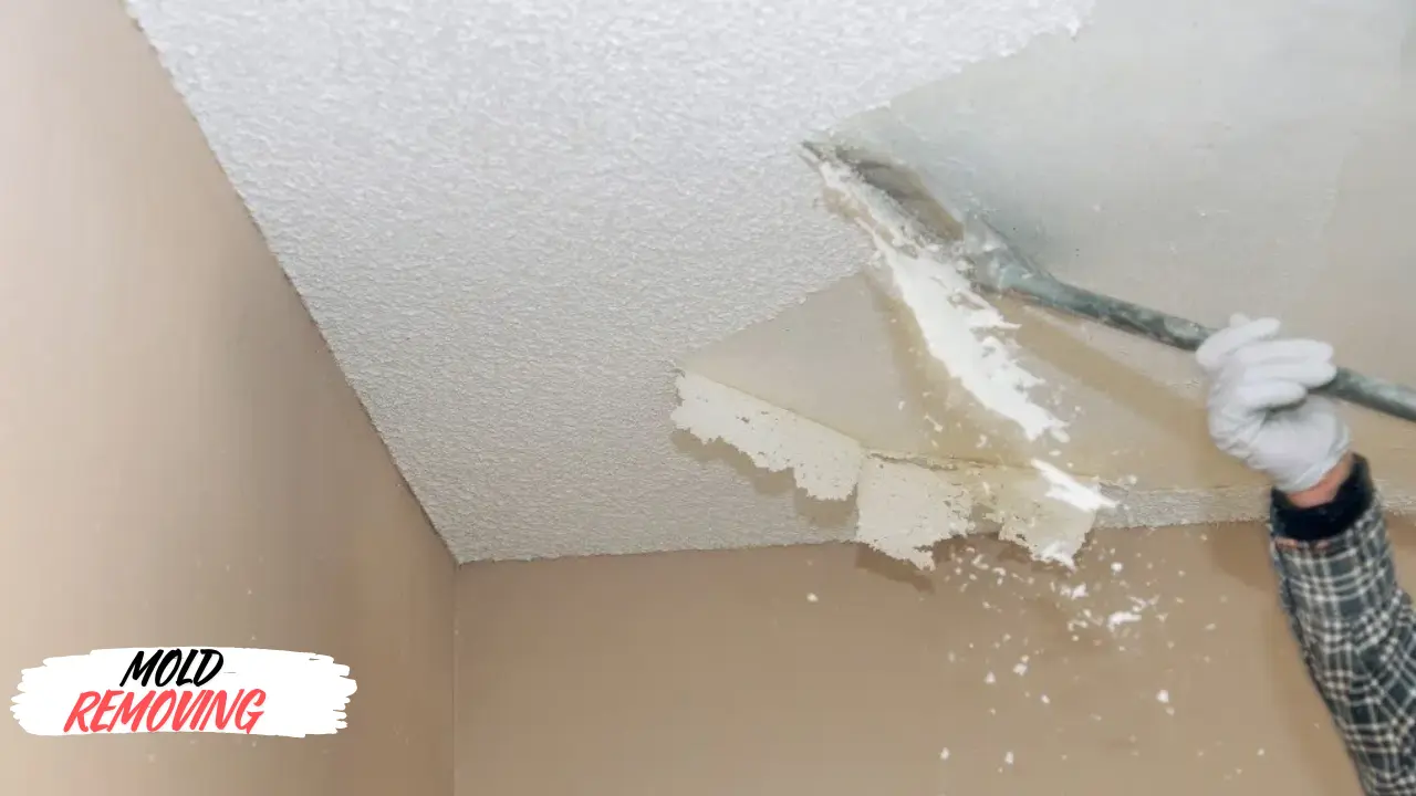 Remove Mold from Popcorn Ceiling