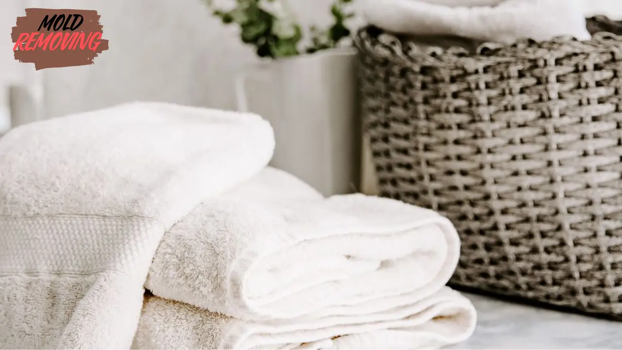 Remove Mold from Towels