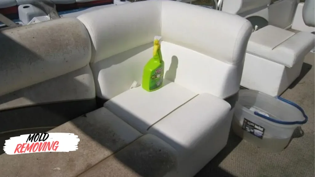 how to remove mold from boat seats