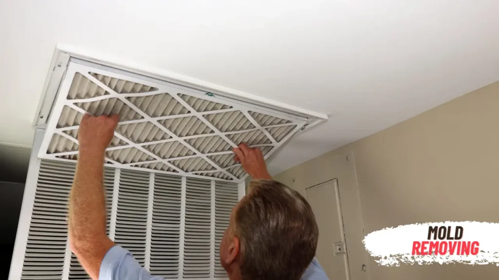 Remove Mold from Air Vents