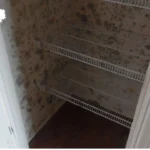 Remove Mold from Closet