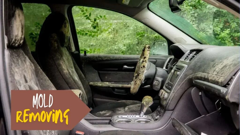 How to Remove Mold from Car interior