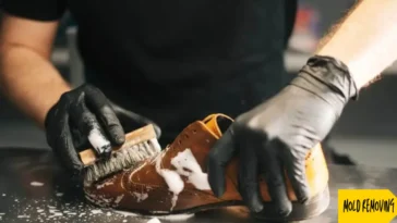 remove mold from leather shoes