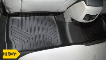 remove mold from car floor