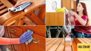 remove mold from wood furniture