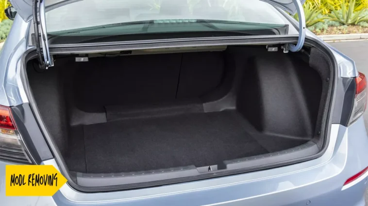 How to Remove Mold from car trunk