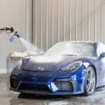 Protect and Remove Mold from Car - All you need to know