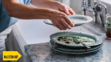 Remove Mold from Dishes