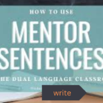 mentor sentence examples