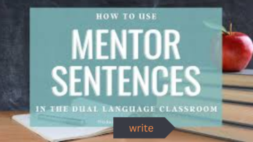 mentor sentence examples