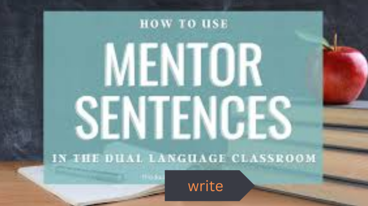 mentor sentence examples