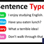 4 Types of Sentences: Definitions, Examples, and Fun Activities