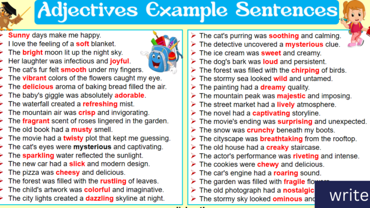 Adjectives Examples Sentences