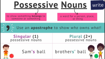 20 Possessive Nouns Activities for Elementary Students