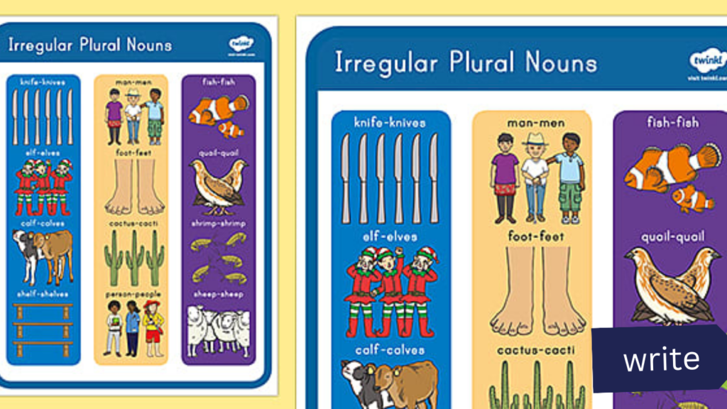 Irregular Plural Nouns